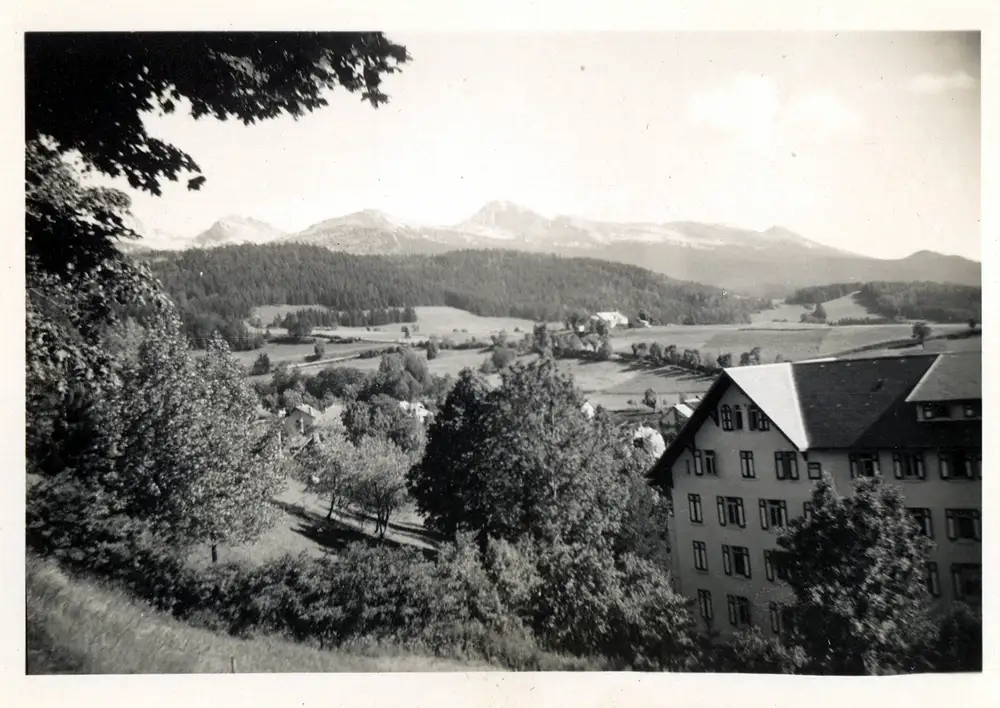 Andrej Pogorzelski - 029