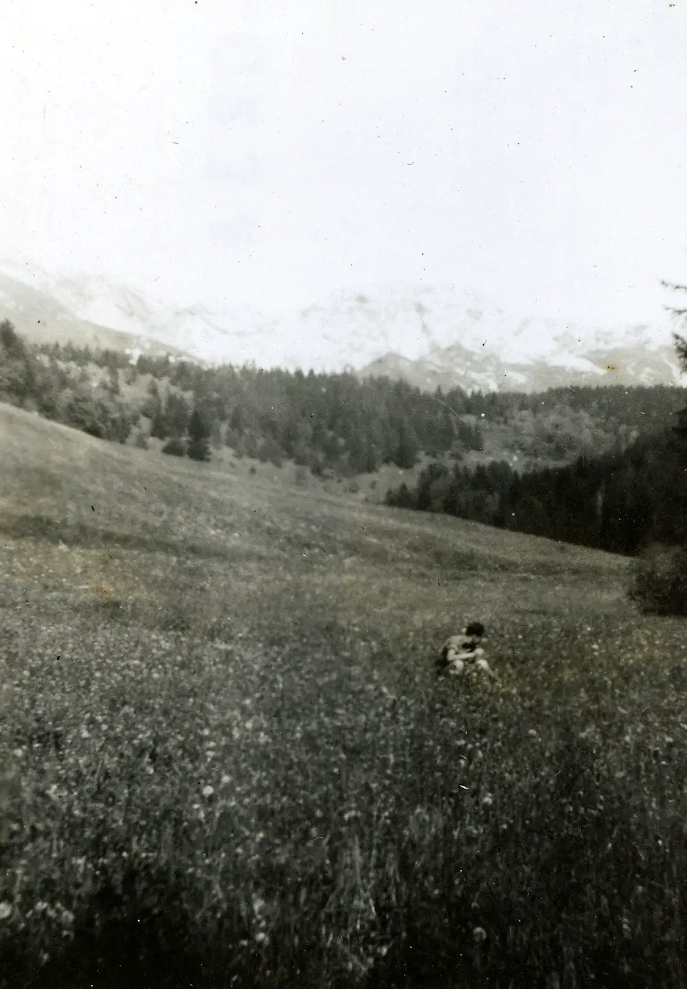 Andrej Pogorzelski - 030