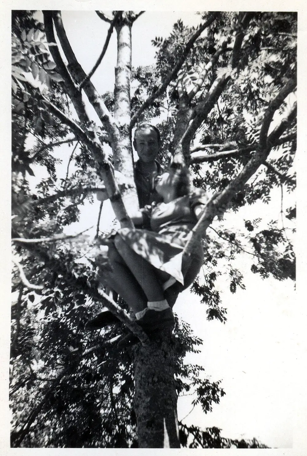 Andrej Pogorzelski - 035