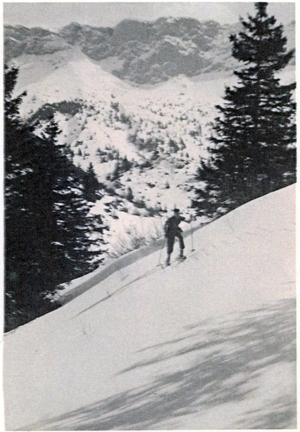 Ernest Berger - 029