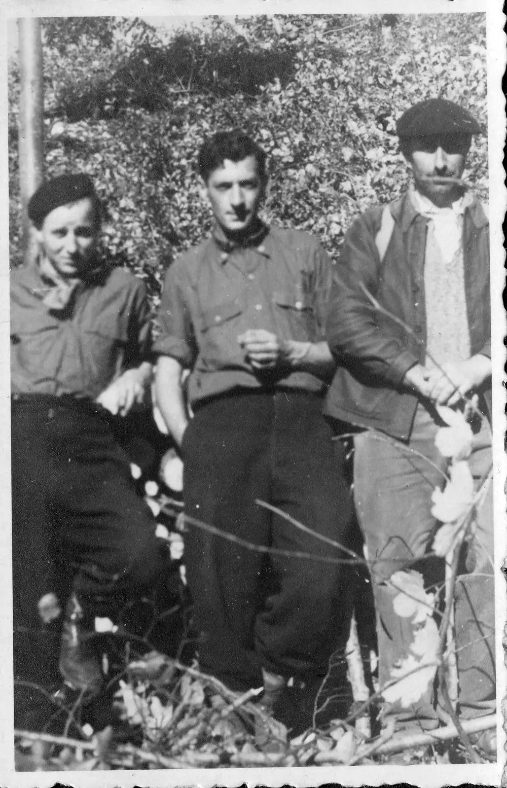 Henryk Zdziarski - 017