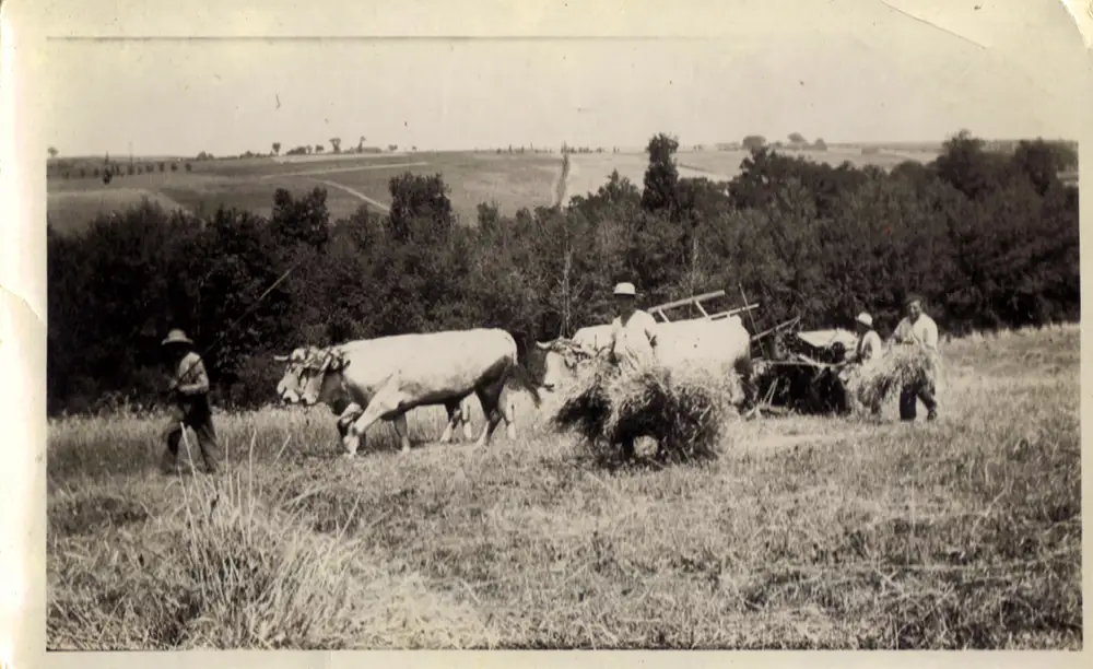 Tadeusz Janikowski - 014